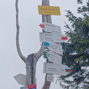 PA!WELL on the summit of Barania Góra (9.5.2026 13:06)