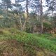 Vratislav Sejkora on peak Kozí brada JV (21.10.2026)