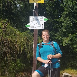 Glogi na vrcholu Magurka Wiślańska (16.8.2020 10:42)