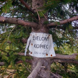 Šárka na vrcholu Zielony Kopiec (15.3.2026 15:13)