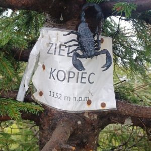 PA!WELL na vrcholu Zielony Kopiec (8.5.2026 11:35)