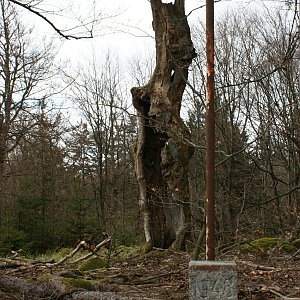 Holi na vrcholu Málkovský vrch J (29.4.2023 17:24)
