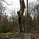 Holi na vrcholu Málkovský vrch J (29.4.2023)