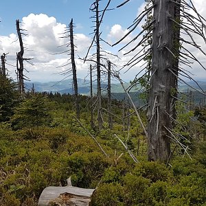 Marcela Kubíčková na vrcholu Wierch Równiański (28.5.2022 12:50)
