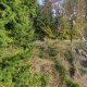Vratislav Sejkora on peak Buřín J (21.10.2026)