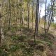Vratislav Sejkora on peak Buřín J (21.10.2026)