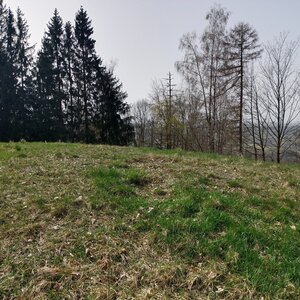 Petr Wendler on the summit of Bienerthův vrch JV (31.3.2024 11:30)
