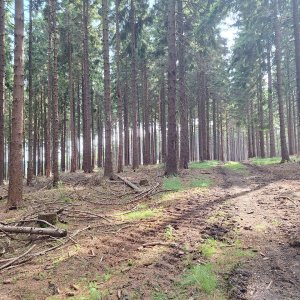 Cyklista 73 na vrcholu U pěti olší (18.6.2025 16:32)