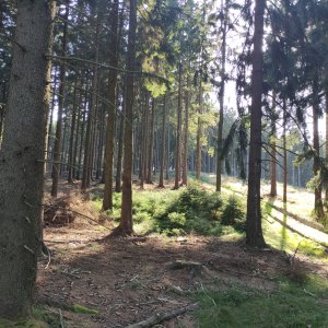 Vratislav Sejkora na vrcholu U pěti olší (8.9.2026 16:36)