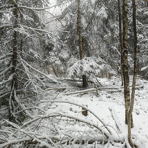 Vladimír Grančay na vrcholu Mikolský vrch (2.4.2022 16:03)