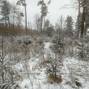 Vladimír Grančay na vrcholu Tichý vrch (2.4.2022 17:20)