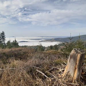 Valča on the summit of Chlum (29.10.2022 10:59)