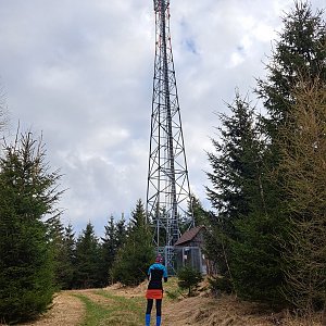 Horalka Anička on the summit of Hejnov (18.4.2022)