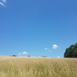 Marcela Kubíčková na vrcholu Klenčov (30.6.2022 13:31)