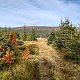 ZdenkaV na vrcholu Malý Máj - SZ vrchol (19.10.2021 10:18)