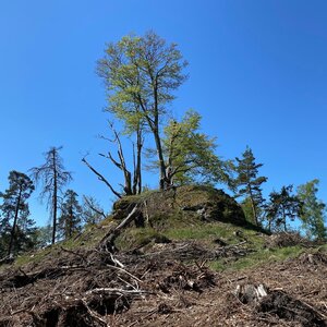Martin Matějka na vrcholu Malý Borný (27.4.2024 10:37)