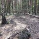 Mykas on peak Nad Husí cestou (31.8.2024)