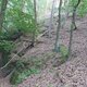 Mykas on peak Dubová hora (31.8.2024)