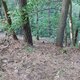 Mykas on peak Dubová hora (31.8.2024)