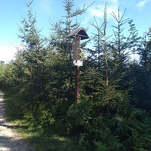 Eliška na vrcholu Nad Bukovinou (17.7.2022 16:45)