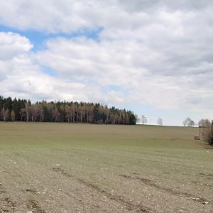 Nojby on the summit of Vršek (27.4.2022 11:17)