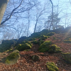 Petr Wendler na vrcholu Hausberg (22.3.2025 12:12)