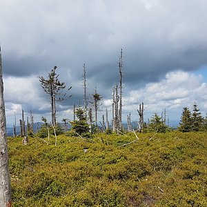 Marcela Kubíčková na vrcholu Kopa Skrzyczeńska (28.5.2022 10:50)