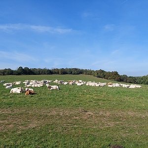 Hanka K. na vrcholu Varhošť (2.10.2021 12:13)
