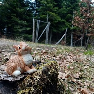 Jiřina na vrcholu Salajka V (1.5.2022 14:35)
