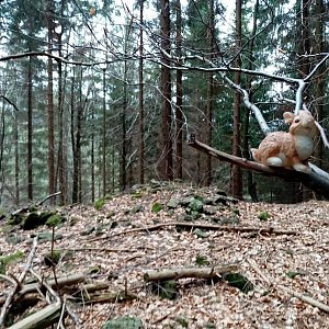 Jiřina na vrcholu Kočičí zámek S (1.5.2022 16:00)