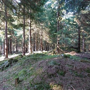 Nojby na vrcholu Jelen J2 (4.5.2022 9:50)