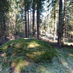 Nojby na vrcholu Jelen J (4.5.2022 9:55)