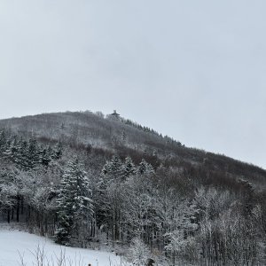 Jířa on the summit of Luž (25.11.2023 12:00)