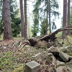 Nojby on the summit of Obteč J (5.5.2022 9:11)