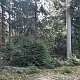 ZdenkaV on peak Javořina JZ (29.4.2022)