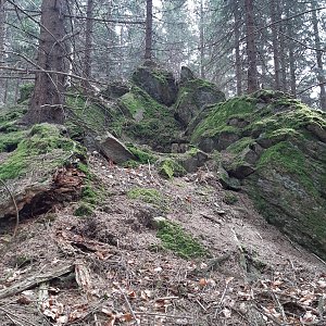 ZdenkaV na vrcholu Lučovec JZ vrchol (30.4.2022 13:09)