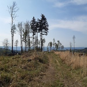 ZdenkaV on the summit of Na Galičkách (2.5.2022 9:44)
