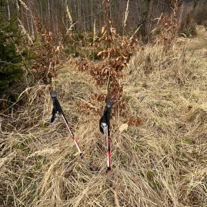 Radka D on the summit of Na Galičkách (1.2.2025 11:36)