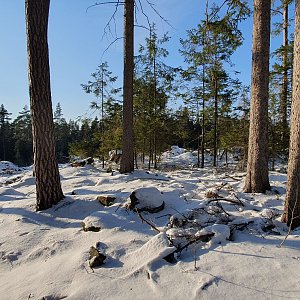 TP on the summit of Bezinky (28.2.2023 16:20)