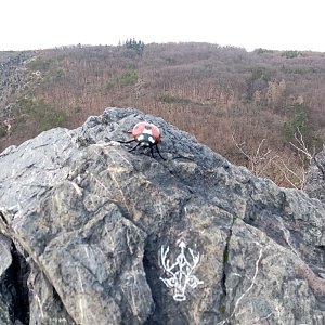 Jiřina na vrcholu Dívčí skok S (1.1.2023 13:18)