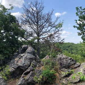 Betička na vrcholu Dívčí skok S (1.7.2023 16:06)