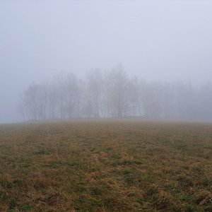 Horalka Anička on the summit of Bršť (8.11.2024 10:04)