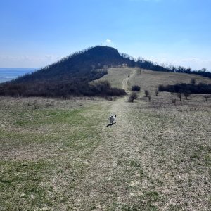 Maruška Tampírová na vrcholu Radobýl (22.3.2026 14:05)