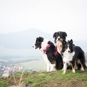 Lenka Fürstlová na vrcholu Radobýl (11.10.2020 14:10)