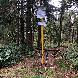 Radka D na vrcholu Talapkov Beskyd (25.9.2022 13:19)