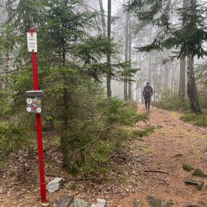 Betička na vrcholu Třemošná (23.3.2025 10:46)