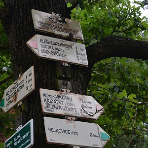 Chmur na vrcholu Plešivec (18.8.2021 11:29)