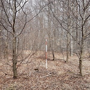 Marcela Kubíčková na vrcholu Bašta (29.3.2022 13:35)