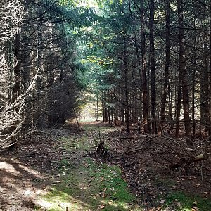 ZdenkaV na vrcholu Bašta (19.10.2022 12:26)