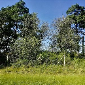 Vladimír Grančay na vrcholu Na Oltářích (11.5.2022 16:16)